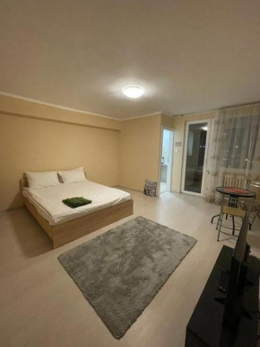 Bega Circumvalatiunii 1 Room Apartament - 2
